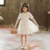 Big Girls Dress Summer Princess Party Frocks Lace Embroidery White Dress for Teens Girl 4 6 8 10 11 12 14 Yrs Children Clothing